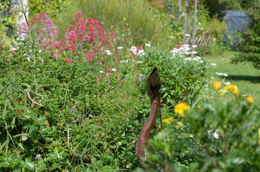 La Closerie Bed and Breakfast Nercillac Exteriör bild